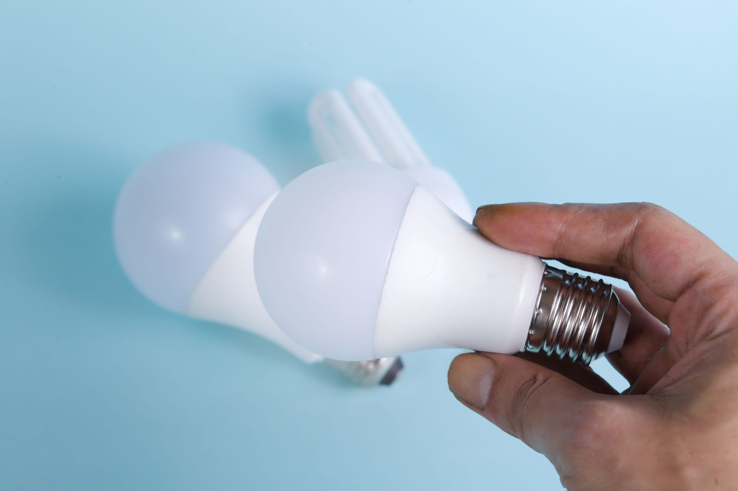 Main tenant des ampoules LED économes en énergie